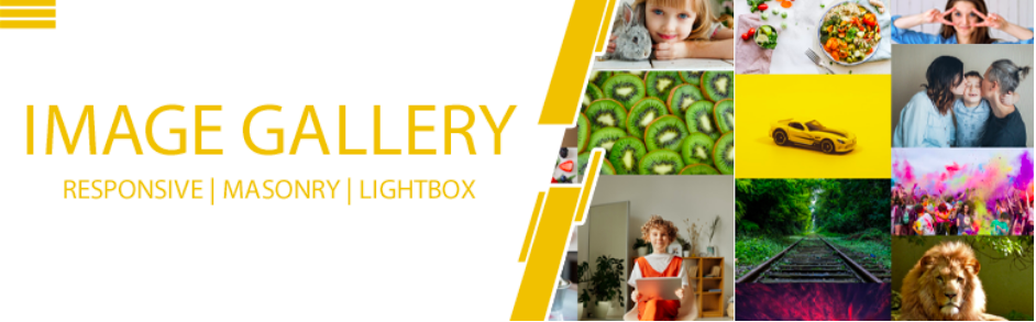 Image-Gallery-Responsive-Photo-Portfolio-WordPress Image Gallery Plugin