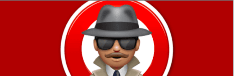 WordPress Plugin Detector