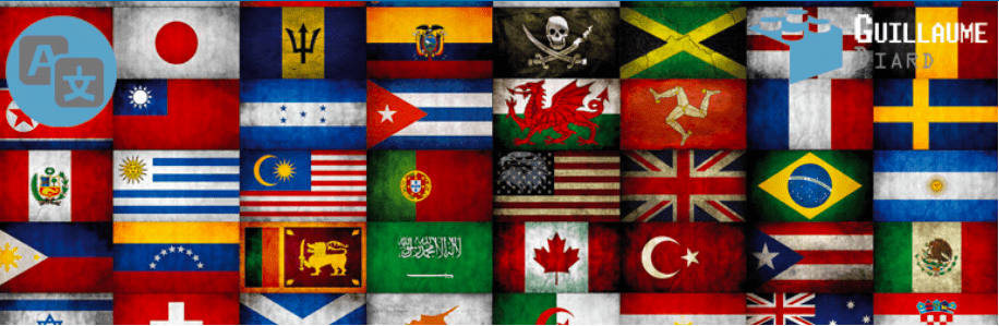 Translation Detector