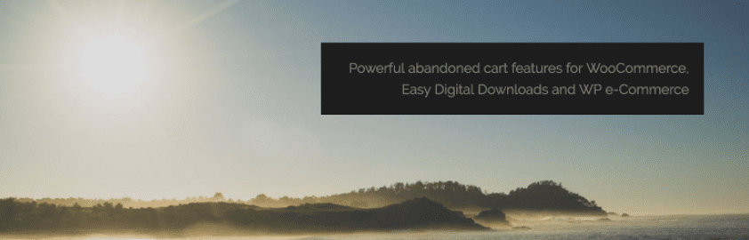 Cart recovery for WordPress-WordPress E-Commerce Plugin