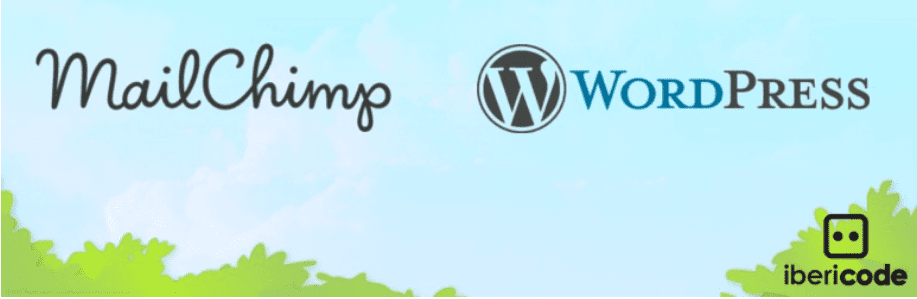 Mailchimp for WordPress-WordPress Lead Generation Plugin